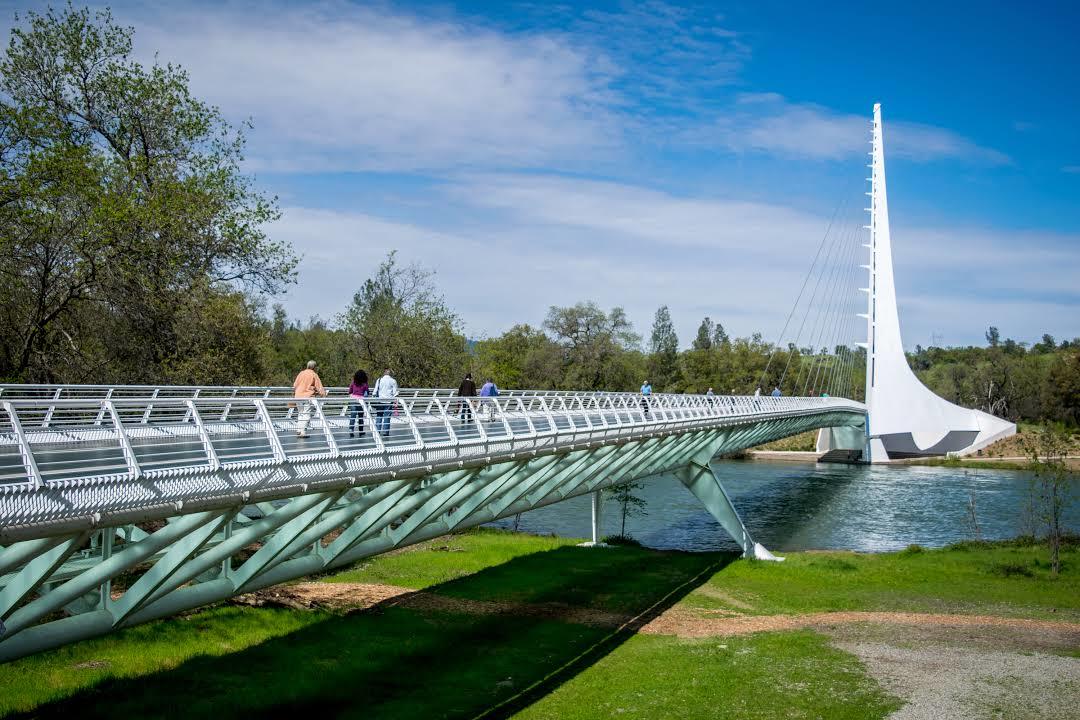 Turtle Bay Exploration Park