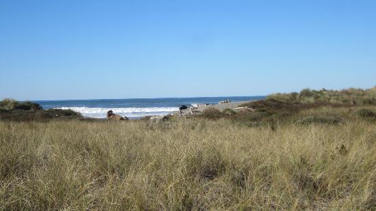 Tolowa Dunes State Park