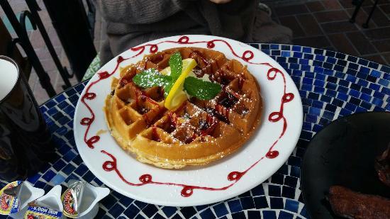 The Lazy Hippo