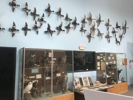 Western Foundation of Vertebrate Zoology Museum