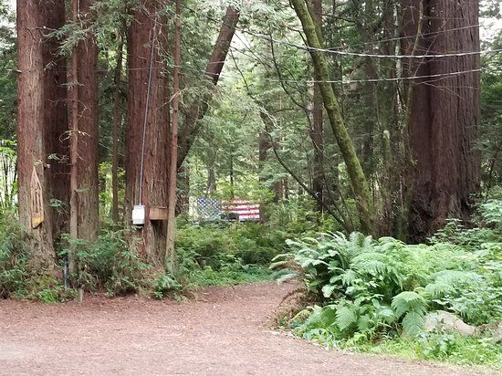 Gualala River Redwood Park