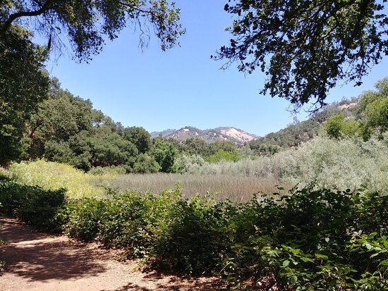 Moore Creek Park