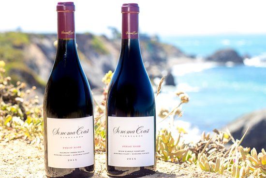 Sonoma Coast Vineyards