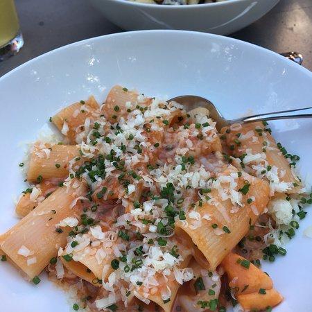 Pasta Armellino