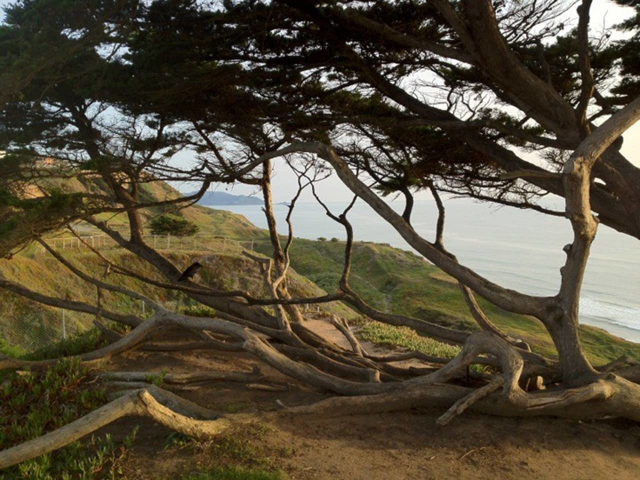 Thornton State Beach
