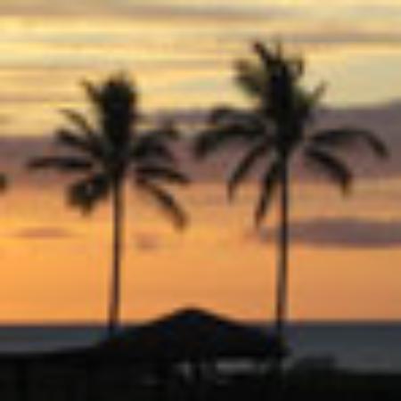 Le Cafe De la Plage