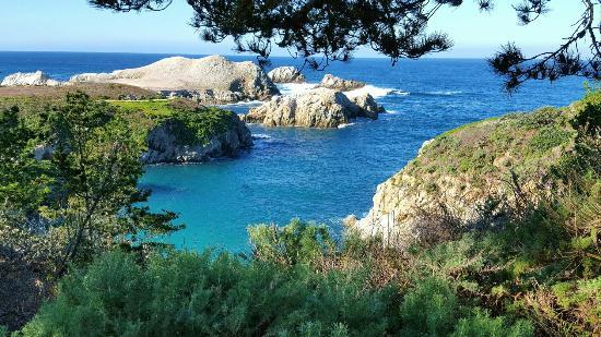 Point Lobos