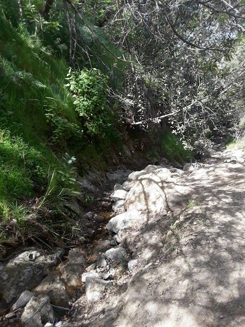 Fryman Canyon Park