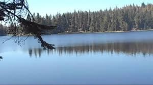 Sequoia Lake