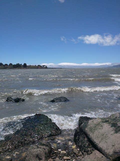 Point Isabel Regional Shoreline