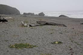 Dry Lagoon