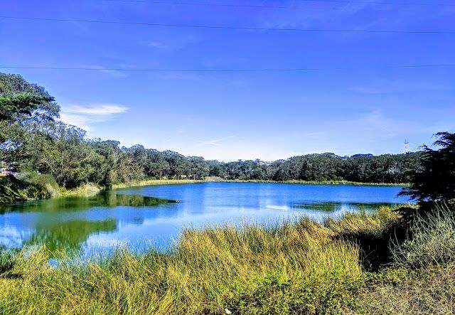 Lake Merced Park
