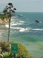 Crystal Cove State Marine Conservation Area