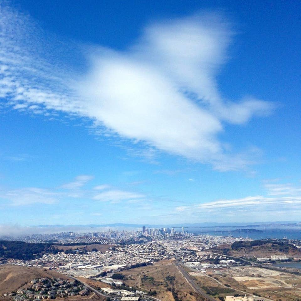 San Bruno Mountain State & County Park