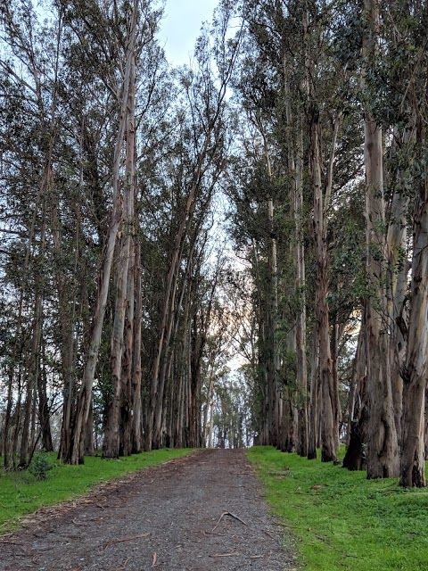 Point Pinole Regional Shoreline