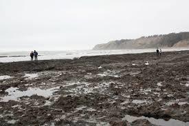 Agate Beach