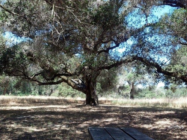 Ragle Ranch Park