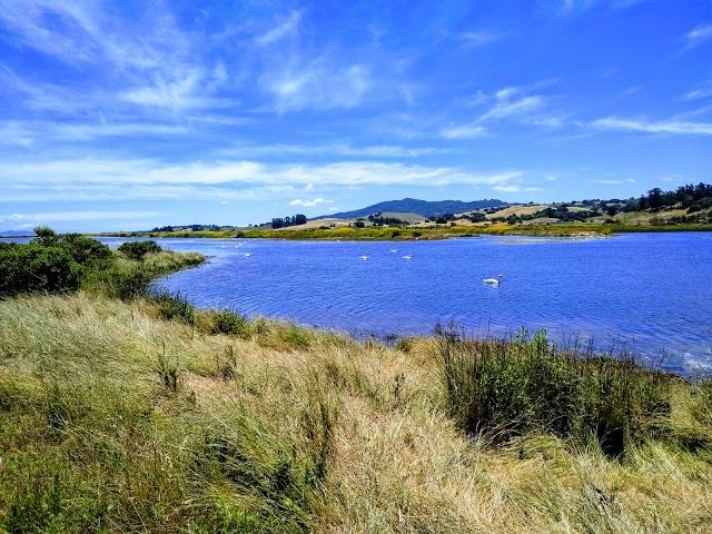 Shollenberger Park