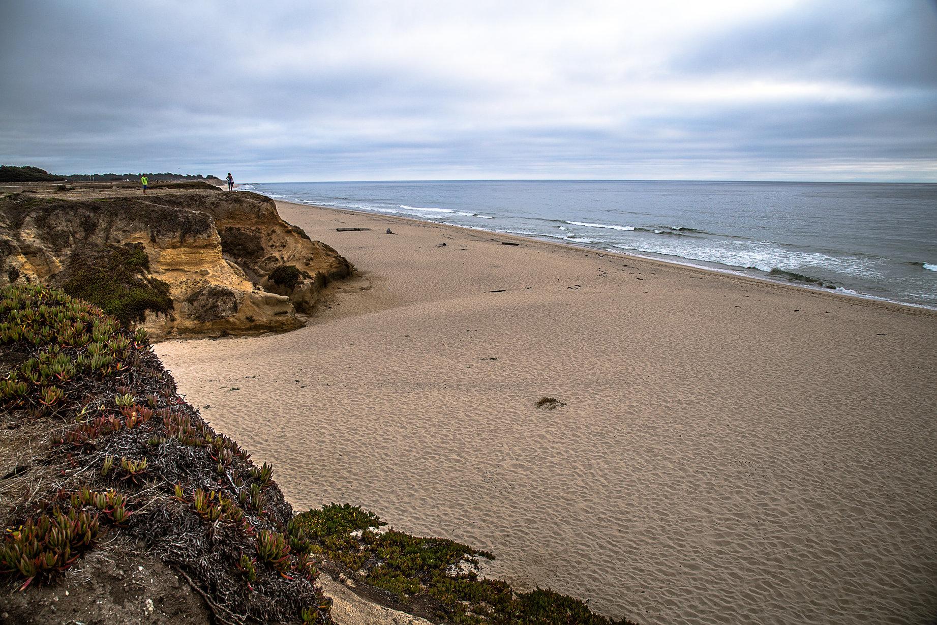 Francis Beach