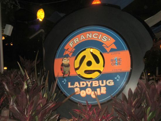 Francis' Ladybug Boogie
