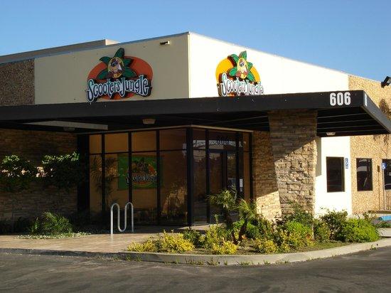 Scooter's Jungle