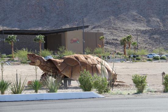 Tortoise Rock Casino