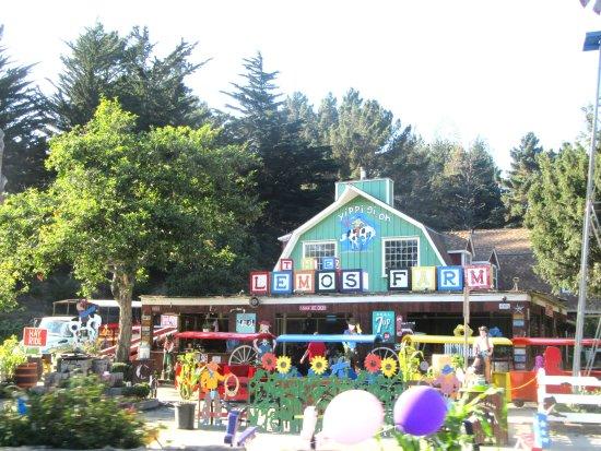 Lemos Farm