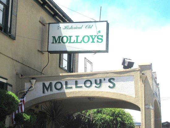 Molloy's Tavern