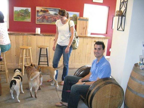 Drytown Cellars