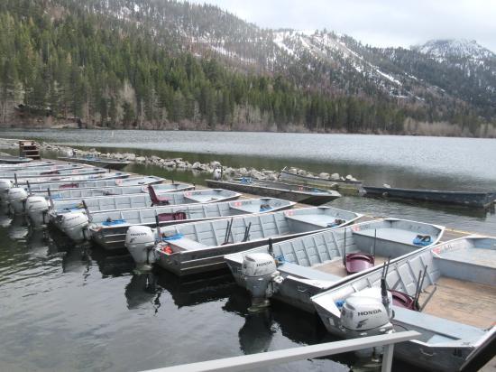 Gull Lake Marina