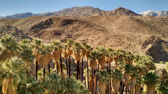 Indian Canyons Hiking Trails