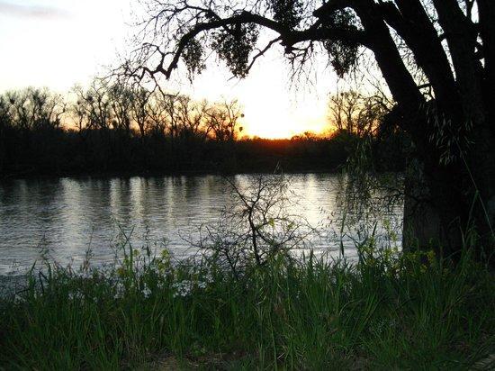American River Bicycle Trail