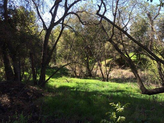Coyote Creek Parkway Path