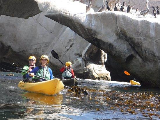 Central Coast Kayaks
