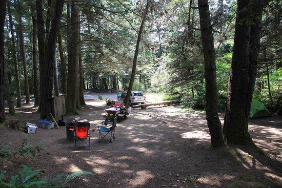 Van Damme State Park
