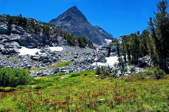 Little Lakes Valley Trail
