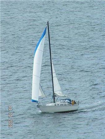 Bodega Bay Sailing