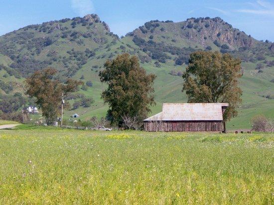Sutter Buttes