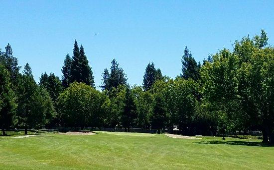 Foxtail South Golf Course
