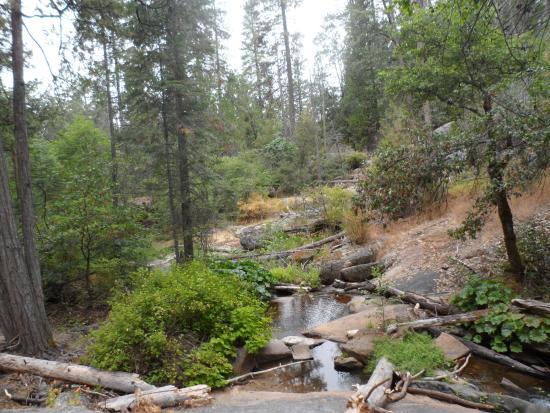Arnold Rim Trail