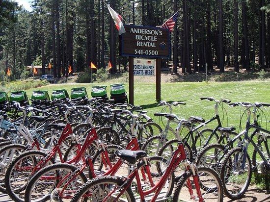Anderson's Bicycle Rental