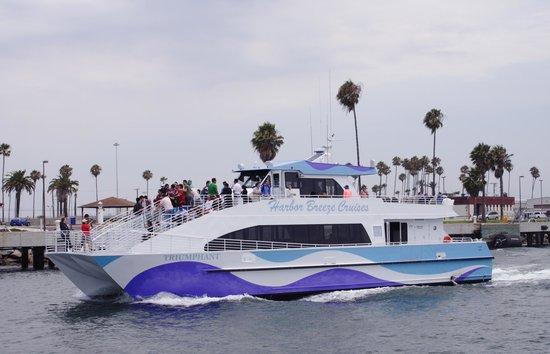 Harbor Breeze Long Beach Harbor Cruise