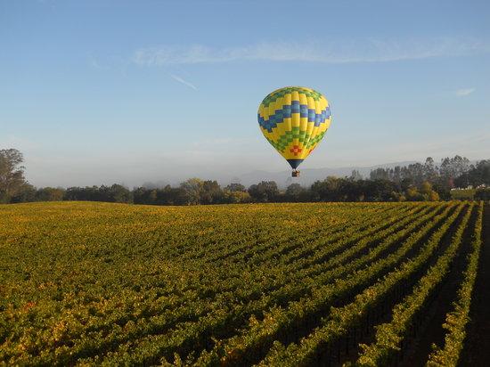 Up & Away Ballooning