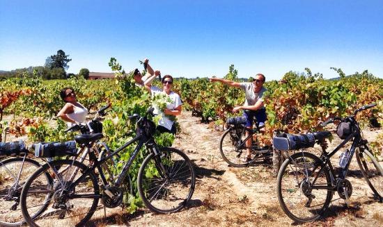 Ace It Bike Tours