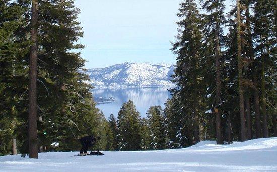 Black Tie Ski Rentals of North Lake Tahoe