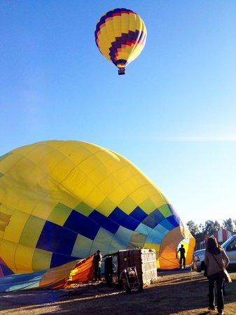 Panorama Balloon Tours