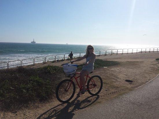 Bargain Bike Rentals