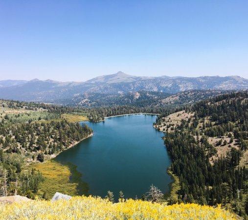 Carson Pass