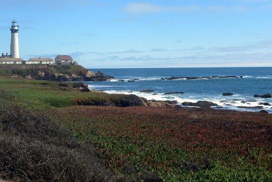 Pigeon Point Beach