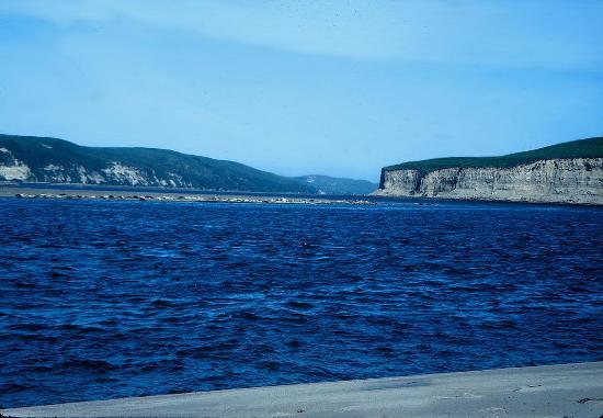 Limantour Beach